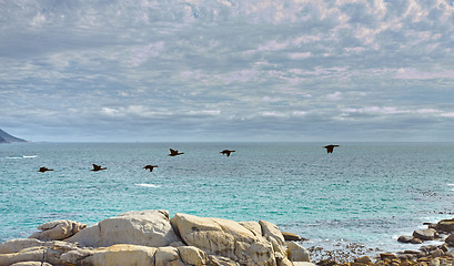 Image showing Nature, rock landscape and birds by ocean for travel destination, holiday or vacation. Natural background, summer and waves, sea and water for scenic view in environment, ecosystem or tropical island