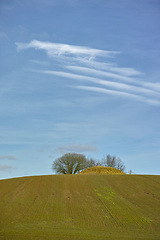 Image showing Landscape, field and mound with trees or blue sky in nature with horizon, grass and natural environment in Mexico. Land, meadow and grassland for farming, agriculture and cultivation in countryside