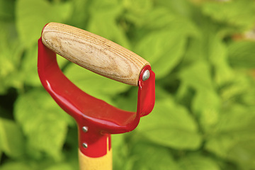 Image showing Garden, tool and spade for nature closeup, environment and planting equipment for growth and agriculture. Greenery, ecology and plant in sunshine, for spring and natural conservation with maintenance