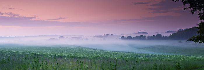 Image showing Flower, field and fog in nature environment or sunset sky in countryside or travel location, grassland or outdoor. Land, mist and cloud in England forest or cold weather in meadow, plants or panorama