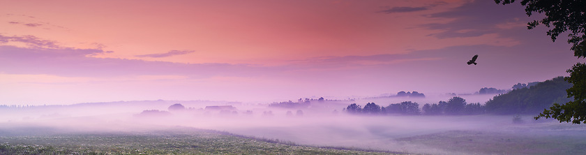 Image showing Drone, landscape and clouds in nature, sunset or peace in morning with countryside tranquility. Freedom, aerial view and sunrise outdoor for travel, explore or adventure, vacation or Amsterdam trip