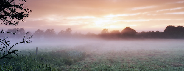 Image showing Farm, cereal plants and mist on field in morning, sunrise and wheat plant in sustainable environment. Countryside, sunshine or grain agriculture in england, crops or calm in rural ecology in nature