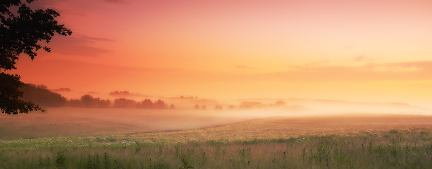 Image showing Sunlight, grass and fog in countryside, field and panorama for landscape, banner or wallpaper. Mist, dramatic and sky for sunrise, serenity and natural scenery for screen saver of peaceful grassland