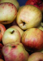 Image showing Apples, bunch and fresh nature closeup, picked fruit for growth with vitamins and organic benefits. Agricultural, harvest season or nutrition for summer market, healthy choice for diet snack or fibre