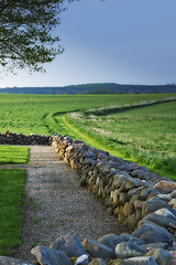 Image showing Landscape, field and fence with rock for agriculture in nature with horizon, grass and natural environment in Amsterdam. Land, meadow and farmland for farming, conservation and trees in countryside