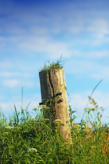 Image showing Fence, post and nature environment with grass and countryside for travel holiday, grassland or vegetation. Wood, blue sky and summer garden park in Europe with foliage greenery, outdoor or plants