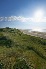 Image showing Dune grass, seaside and beach in landscape, nature and environment for outdoor. Ocean, water and clouds in blue sky morning, plants or seashore or sand and waves in summer or winter for relaxing