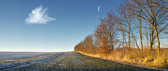 Image showing Farm, field and frost on grass in landscape with trees, blue sky with moon and countryside in winter. Calm, nature and environment for agriculture with ice on pasture ground in banner of forest woods