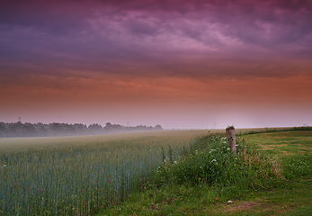 Image showing Field, landscape and clouds in nature, sunset or peace in morning with countryside tranquility. Freedom, zen and sunrise outdoor for travel, explore or adventure, vacation or Amsterdam holiday trip