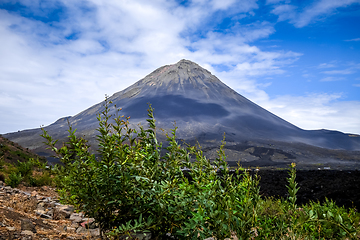 Image showing Pico do Fogo, Cha das Caldeiras, Cape Verde