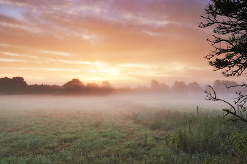 Image showing Farm, cereal crops and mist on field in morning, sunrise and wheat plant in sustainable environment. Countryside, sunshine or grain agriculture in england, plants or peace on rural ecology in nature
