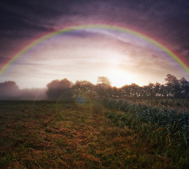 Image showing Field, farm and rainbow or grass environment or sky sunset in countryside meadow or vegetation, wheat or flora. Plants, nature and forest with lens flare or outdoor climate or remote, view or morning