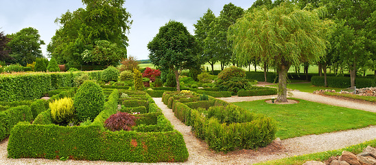 Image showing Landscape, garden and trees in the countryside, nature or outdoor environment for travel in Europe in summer. Grass, green bush and park with plants for growth, ecology or path at backyard in Denmark