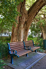 Image showing Tree, bench in park and outdoor in nature, environment with location for travel with wooden seat. Rest space in public garden, woods or forest with view for fresh air and calm in natural background