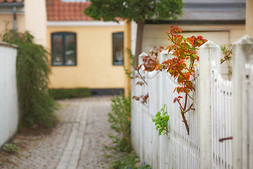 Image showing Suburb, real estate and fence in front yard, driveway and house in Italy for village and gate in Europe. Home, urban and outdoor for residential, travel and journey and outside of town in country