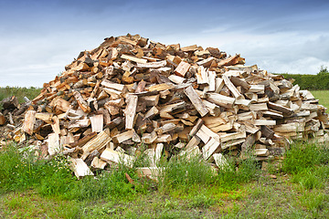 Image showing Nature, wood and deforestation with log pile on ground outdoor for industry, manufacturing or production. Environment, trees and grass in forest or woods for lumber or logging supply and profession