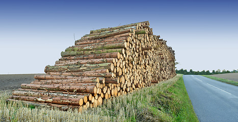 Image showing Road, wood and deforestation with log pile on ground outdoor for industry, manufacturing or production. Nature, trees and street in countryside environment for lumber or logging supply and profession