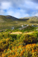 Image showing Outdoors, town and trees or field in countryside, ecosystem and calm hill for holiday or vacation. Peace, sustainable environment and travel to relax in South Africa, plant and cloudy sky for ecology