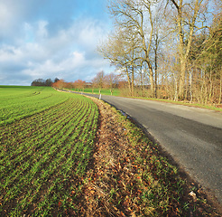 Image showing Countryside, road trip and natural landscape for travel, holiday and environment for farming in Norway. Nature, cloudy sky and agriculture on journey, vacation or adventure with trees on quiet street