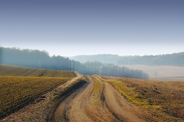 Image showing Road, landscape or field with grass in countryside for travel, adventure or roadtrip with forest in nature. Street, pathway or location in Amsterdam with direction, roadway or environment for tourism