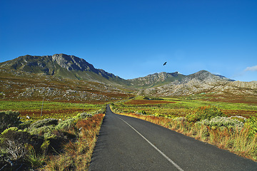 Image showing Mountain, road trip and natural landscape with field, holiday or green scenery in countryside. Nature, grass and highway for journey, vacation or outdoor adventure with blue sky, relax and bird.