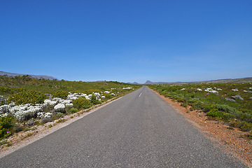 Image showing Blue sky, road trip and natural landscape with travel, holiday and green countryside in South Africa. Nature, bush and highway for journey, vacation and outdoor adventure with mountain on horizon.