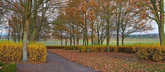 Image showing Autumn, road or landscape with countryside nature holiday or vacation scenery in Sweden or forest. Background, natural or street for journey, travel or outdoor adventure with woods, trees or tourism