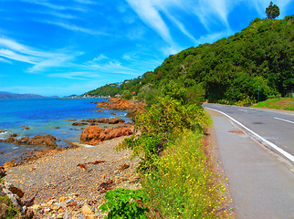 Image showing Shoreline, beach and nature on coastal road, forest and summer landscape with sunshine. Blue sky, earth and trees with ocean and bushes on tar highway, outdoor and woods by seaside rocks and greenery
