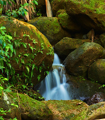 Image showing River, nature and waterfall in forest, water and earth in woodland environment. Plants, spring and landscape of peaceful jungle in Puerto Rico, greenery and outdoor rural area for natural ecosystem
