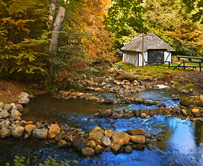 Image showing Forest, landscape and hut in river with trees, woods and natural environment in autumn with leaves or plants. Swamp, water and stream with growth, sustainability and ecology with rocks in Denmark