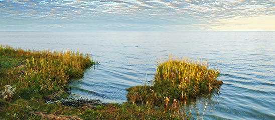 Image showing Lake, grass and coast with landscape, sky and horizon in environment with sunshine in Jutland. Water, sea or field with clouds, sustainability or ecology for earth in summer at countryside in Denmark