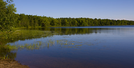 Image showing Forested Shoreline