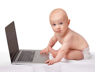 Image showing Baby, laptop and studio for portrait, fun and games in child development and curious technology. Infant, happy and newborn for home, diaper and white background for playful and sitting by tech