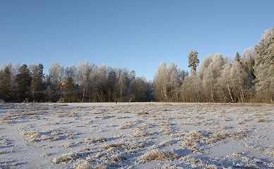 Image showing Winter in Norway