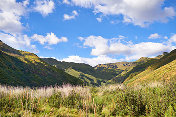 Image showing Mountain, landscape and field in nature with blue sky, clouds and environment in summer. Countryside, hill and travel to meadow with grass, flowers and plants on earth with biodiversity in Africa