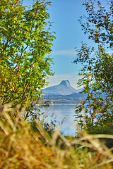 Image showing Trees, leaves and view of lake with mountain, nature and landscape of Norway environment for travel, camp and tourism. Green, foliage with water and blue sky, natural background in forest or woods