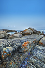 Image showing Beach, stone and rocks in landscape of nature or environment with birds in blue sky at sea. Offshore, ocean and travel on vacation or holiday to South Africa in summer with calm water or waves