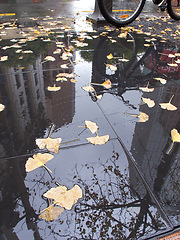 Image showing Leaf, rain and puddle on ground in outdoor for autumn, weather and cold in city, sidewalk or street. Tree and nature in reflection of water for fall, urban or park with building in wet season