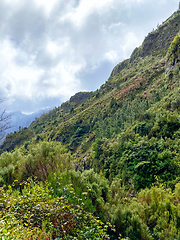 Image showing beautiful Madeira landscape