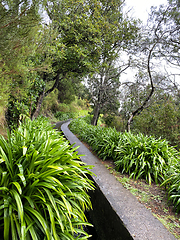 Image showing beautiful Madeira landscape