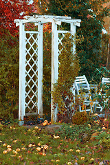 Image showing Wood, arch and nature garden in autumn, leaf and patio furniture on lawn in backyard. Decorate, growth and greenery in environmental sustainability and ecology, botanical foliage outdoor or earth day