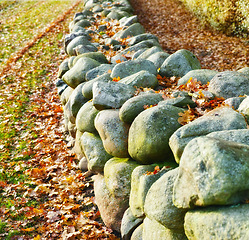 Image showing Stone, rock and leaf on earth with grass for autumn, nature and countryside outside in environment. Turf, ground and boulder in forest, park or wood with moss for landscape, ecology or flora