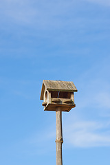 Image showing Blue sky, wood and birdhouse or feeder hanging on pole, closeup and box for food of animal. Summer, outdoor and trunk of tree for home, seed and eating of Woodpecker in park of Australia in nature