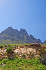 Image showing Mountain, blue sky and travel location with flower, summer and journey in natural landscape. Landmark, nature and environment for outdoor adventure, explore and holiday destination in South Africa.