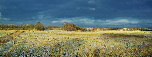 Image showing Landscape, field and trees for agriculture with sky in nature with horizon, grass and natural environment in Denmark. Land, meadow or grassland for farming, conservation or cultivation in countryside