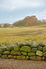 Image showing Landscape, field and wall with stone for agriculture in nature with blue sky, grass and natural environment in Amsterdam. Land, meadow and farmland for farming, conservation and trees in countryside