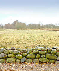 Image showing Landscape, field and wall with stone for agriculture in nature with sky, grass and natural environment in Amsterdam. Land, meadow and farmland for cultivation, conservation and trees in countryside