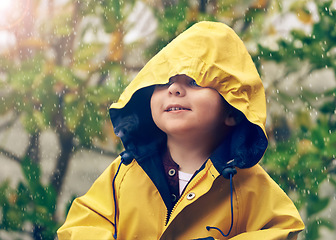 Image showing Child, rain and raincoat protection in winter for fashion, jacket or cold weather outdoor. Little boy, male toddler and kid in drizzle by tree, bokeh or environment with windbreaker for chilly season