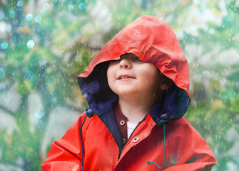 Image showing Child, rain and raincoat in style for fashion, jacket or cold weather in winter. Little boy, male toddler and kid in drizzle by tree, bokeh or environment with windbreaker for chilly season in London