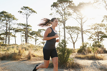 Image showing Training, running and woman on road in forest for health, wellness and strong body development. Workout, exercise and girl runner on path in nature for marathon fitness, performance and challenge.